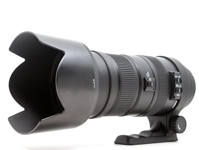 Sigma 50-500mm f/4-6.3 EX APO HSM - Canon EF Anschluss