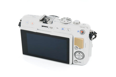 Olympus PEN E-PL5 + FL-LM1 Blitz