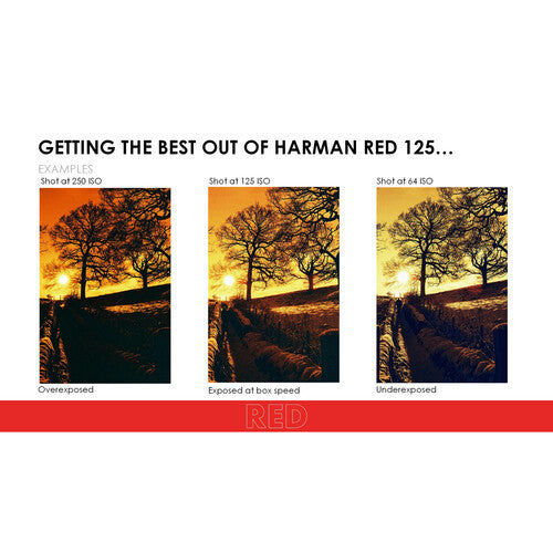 Harman Red 125 35mm