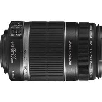 Canon EF-S 55-250mm f/4-5.6 Objektiv