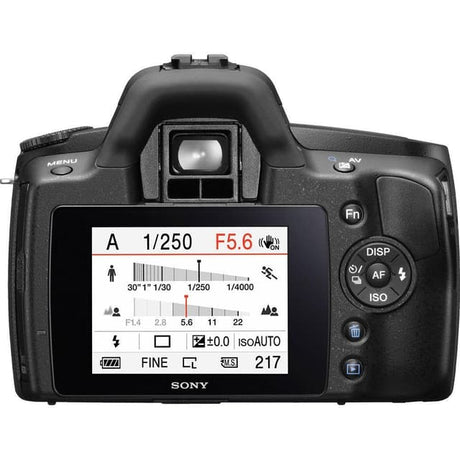 Sony Alpha DSLR-A290 - Schwarz + Sony DT 18-55mm f/3.5-5.6 SAM