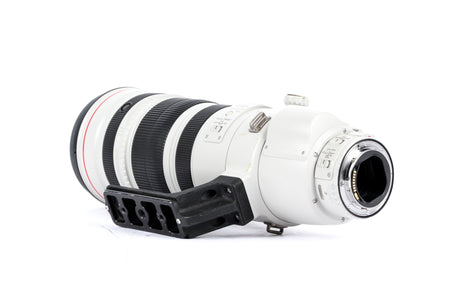 Canon EF 200-400mm f/4 L IS USM mit 1,4-fach Extender