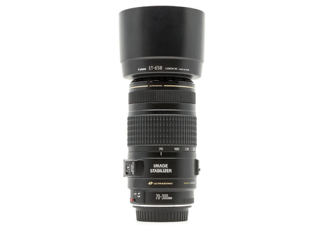 Canon EF 70-300mm f/4-5.6 IS USM