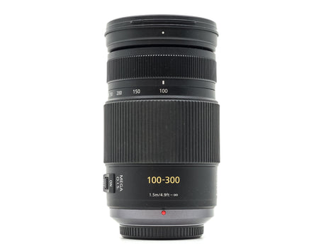 Panasonic Lumix G Vario 100-300mm f/4-5.6 Mega O.I.S.