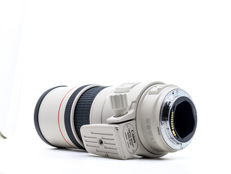 Canon EF 300mm f/4 L IS USM