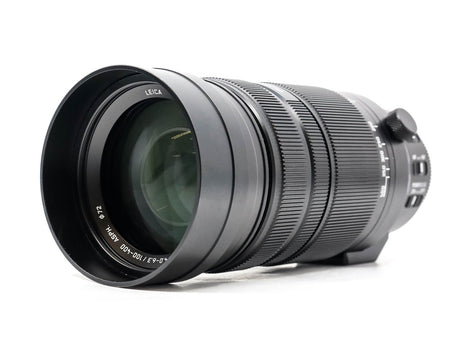 Panasonic Leica DG Vario-Elmar 100-400mm f/4-6.3 ASPH. Power O.I.S.