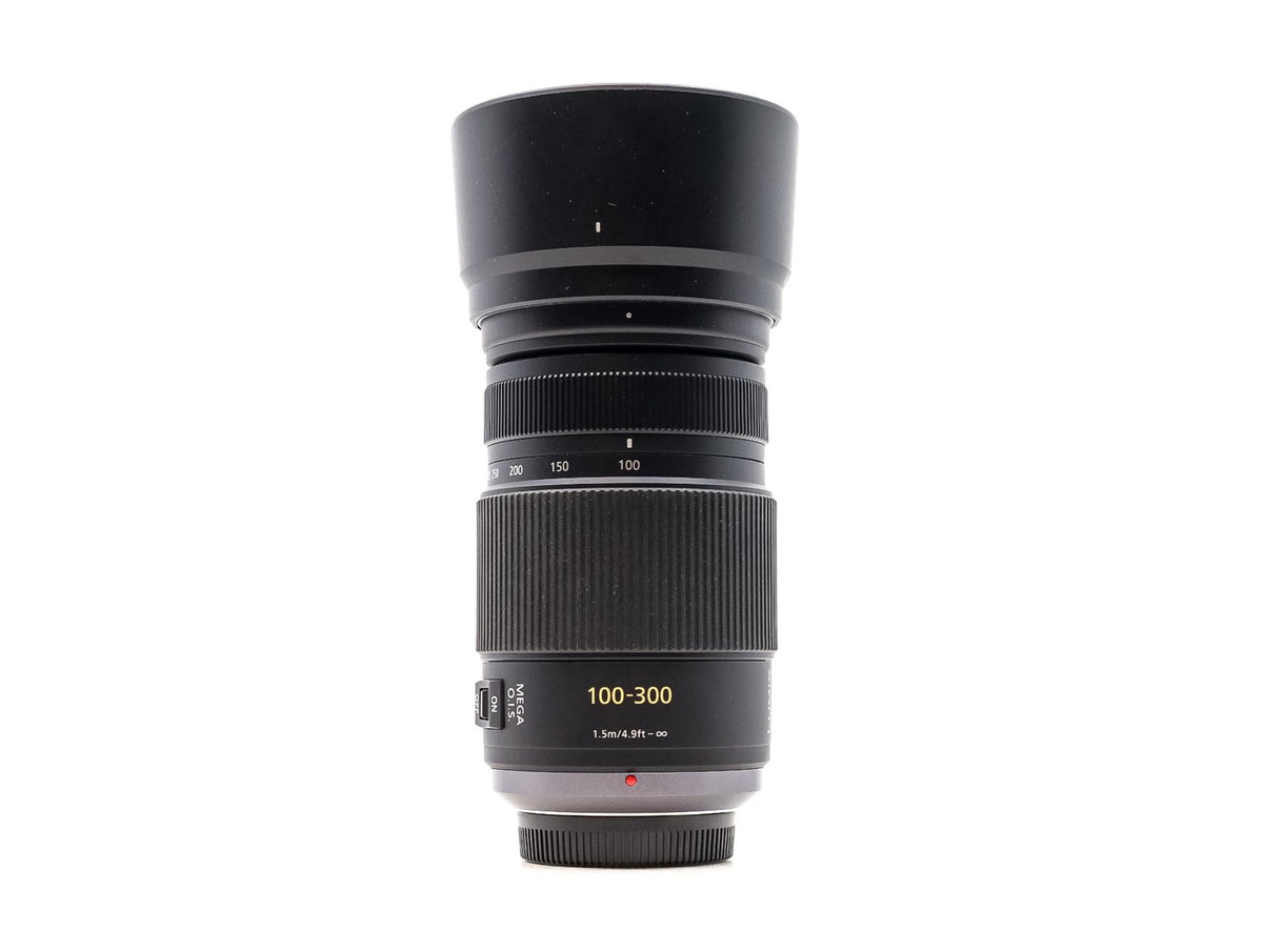 Panasonic Lumix G Vario 100-300mm f/4-5.6 Mega O.I.S. · Hauptbild
