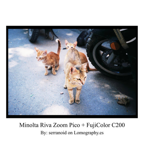 Minolta Riva Zoom Pico - 35mm Kompaktfilmkamera