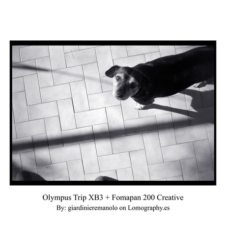 Olympus Trip XB3 – 35mm Filmkamera